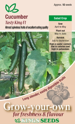 Picture of Cucumber Tasty King F1