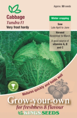 Picture of Cabbage Tundra F1 RHS AGM