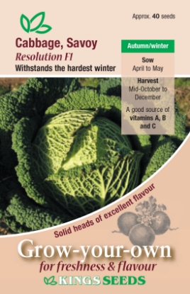 Picture of Cabbage, Savoy Resolution F1