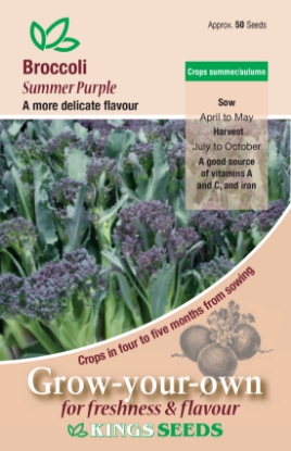 Picture of Broccoli Sprouting Summer Purple