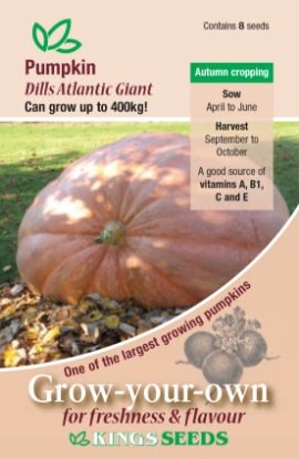 Picture of Pumpkin Dills Atlantic Giant