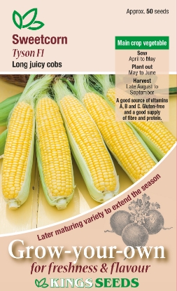 Picture of Sweet Corn Tyson F1