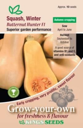 Picture of Squash Winter Butternut Hunter F1