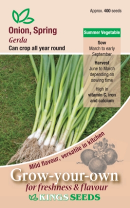 Picture of Onion Spring Gerda 