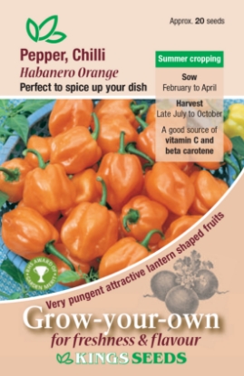 Picture of Pepper (Chilli) Habanero Orange 
