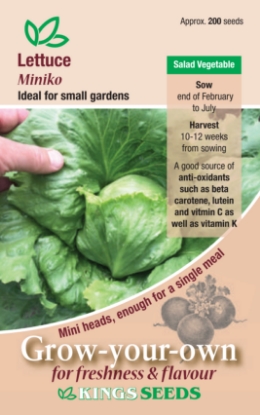 Picture of Lettuce Miniko
