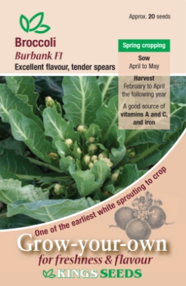 Picture of Broccoli Sprouting Burbank F1