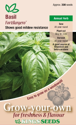 Picture of Herb Basil Fortilargero ®