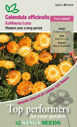 Picture of Calendula Kablouna Luna
