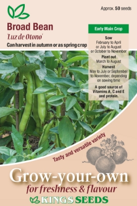 Picture of Broad Bean Luz de Otono