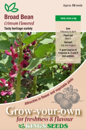 Picture of Broad Bean Crimson Flowered