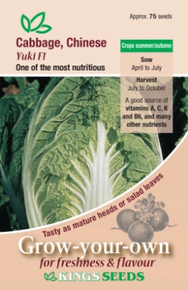 Picture of Cabbage, Chinese Yuki F1 