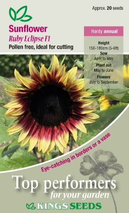 Picture of Sunflower Ruby Eclipse F1