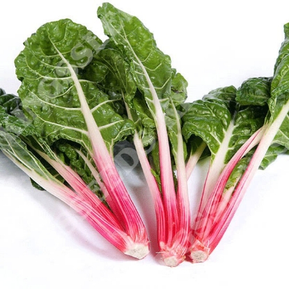 Picture of Beet Rhubarb Chard Peppermint