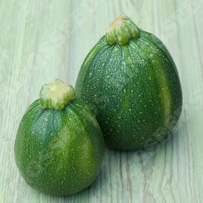 Picture of Courgette Eight Ball F1
