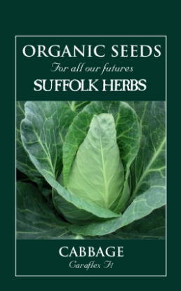 Picture of Cabbage  Caraflex F1 Organic Seed