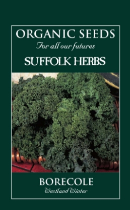 Picture of Kale Westland Winter Organic Seed