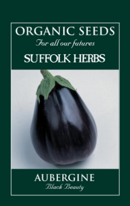 Picture of Aubergine  Black Beauty Organic Seed