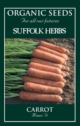 Picture of Carrot Miami F1 Organic Seed
