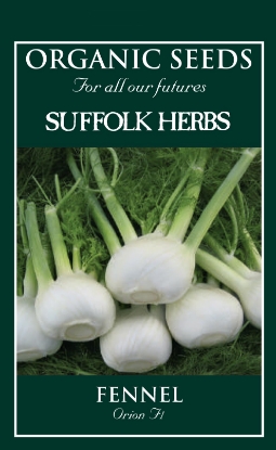 Picture of Fennel Orion F1 Organic Seed