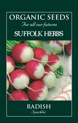 Picture of Radish  Sparkler Organic Seed