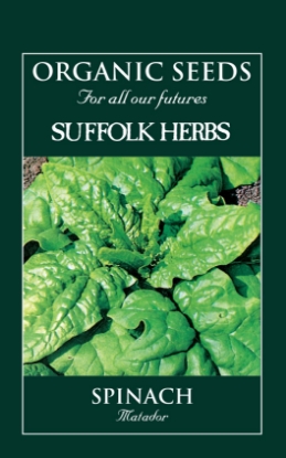 Picture of Spinach  Matador Organic Seed