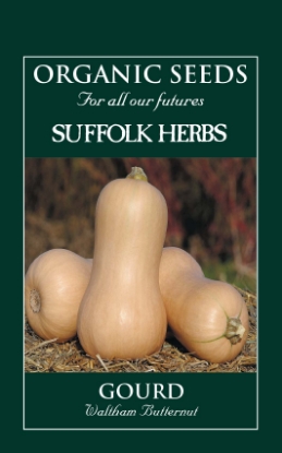 Picture of Squash Waltham Winter Butternut Organic Seed