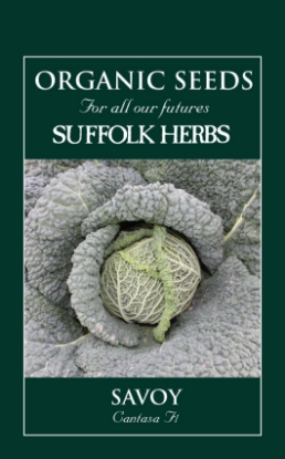Picture of Cabbage Savoy Cantasa F1 Organic Seed
