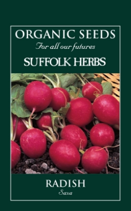 Picture of Radish Saxa Organic Seed