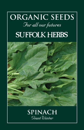 Picture of Spinach  Giant Winter Organic Seed