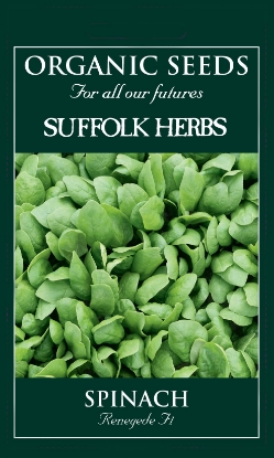 Picture of Spinach Renegade F1 Organic Seed