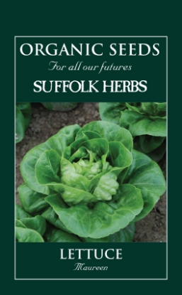 Picture of Lettuce  Maureen (Little Gem Type) Organic Seed