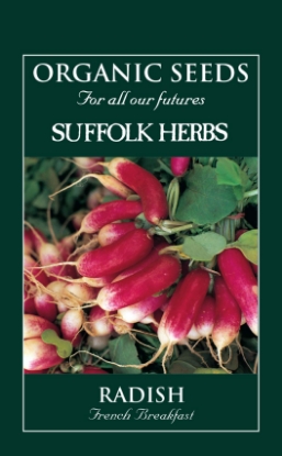 Picture of Radish French Breakfast Organic Seed