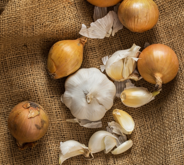 Garlic and Onions
