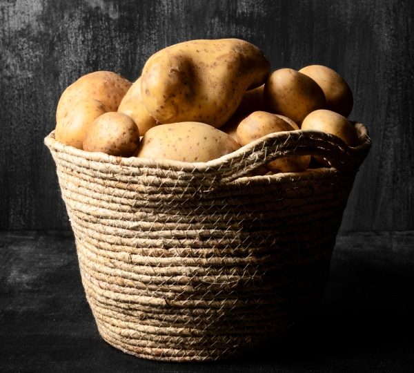 Seed Potatoes