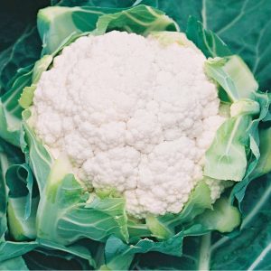 Cauliflower