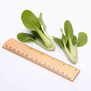 Pak Choi